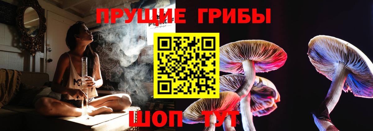 Псилоцибиновые грибы мицелий Кызыл