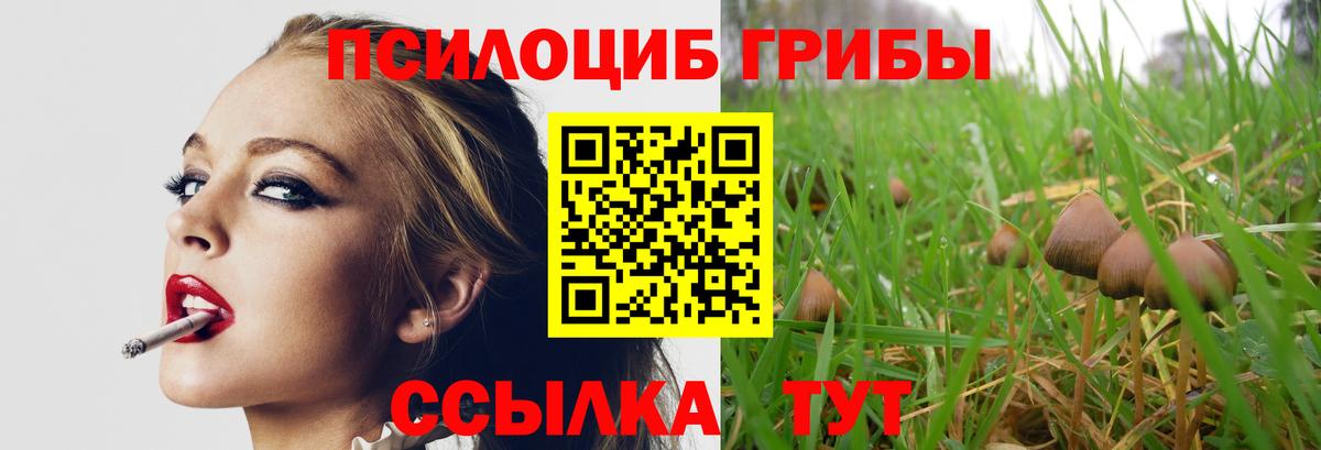 Псилоцибиновые грибы Magic Shrooms  Вход с VPN  Псилоцибиновые грибы ЛСД  Кызыл 